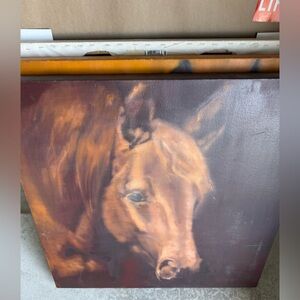 Diane Tremaine Horse Painting on Canvas 24”-Emmerging 2005 signed